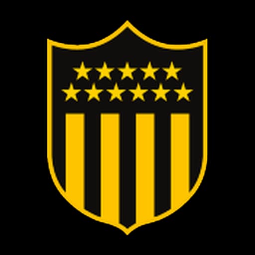 Wanderers vs Penarol
