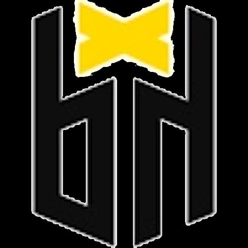Bounty Hunters Esports vs. Galorys