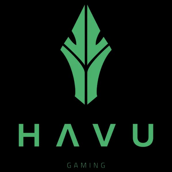 HAVU vs. Favbet