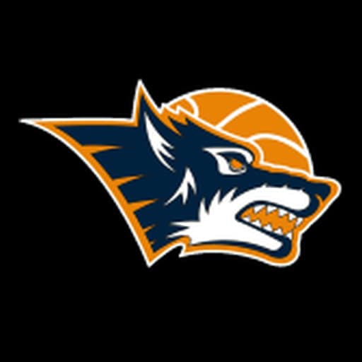 Rostock Seawolves vs Rasta Vechta