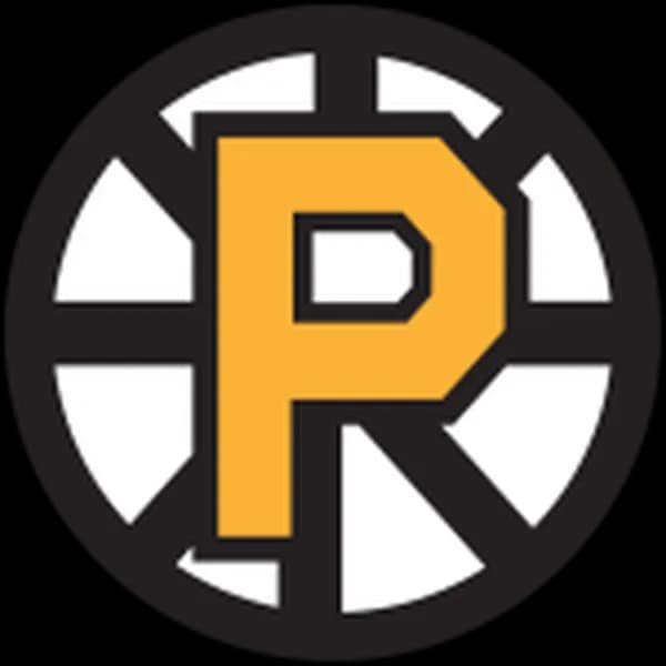 Providence Bruins vs Springfield Thunderbirds