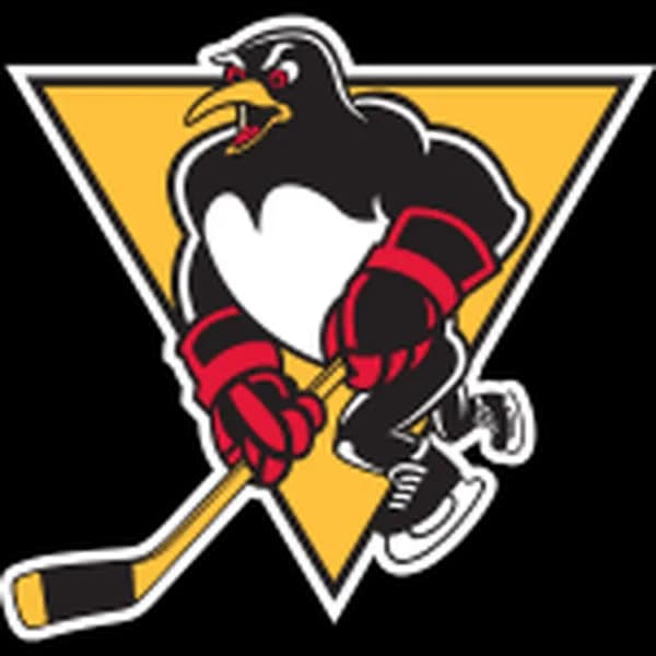 Springfield Thunderbirds vs Wilkes Barre-Scranton Penguins