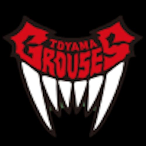 Toyama Grouses vs Hiroshima Dragonflies