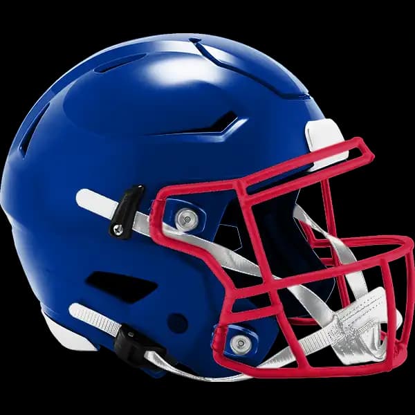 AFC East Division Winner