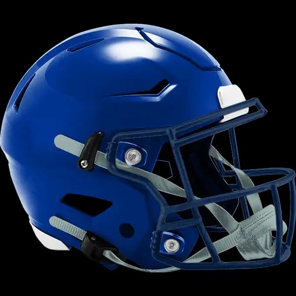 NFC East Division Winner