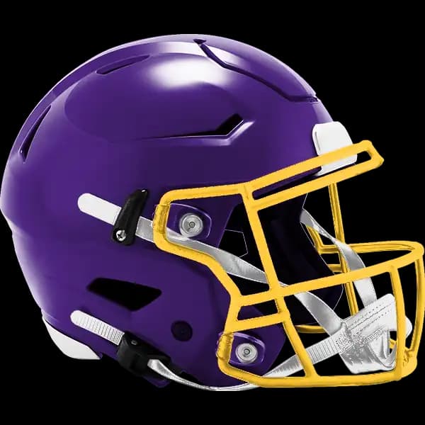 NFC North Division Winner